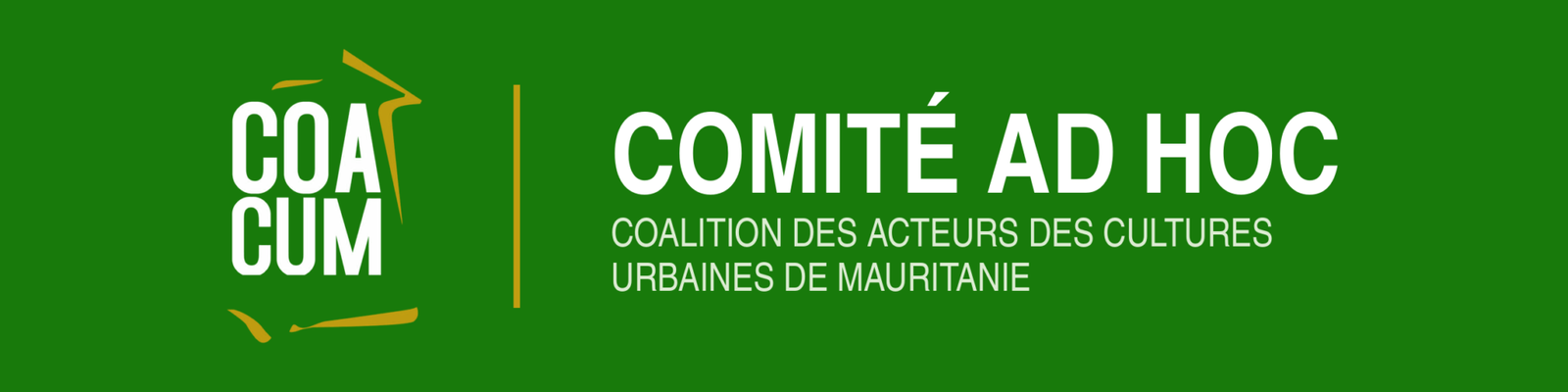 Comité Ad hoc